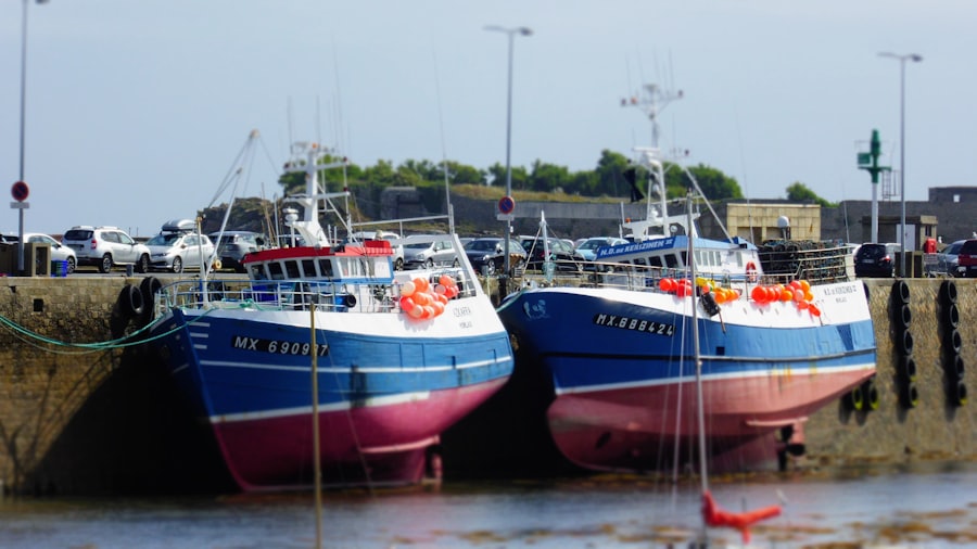 Barques amarrées dans une crique
