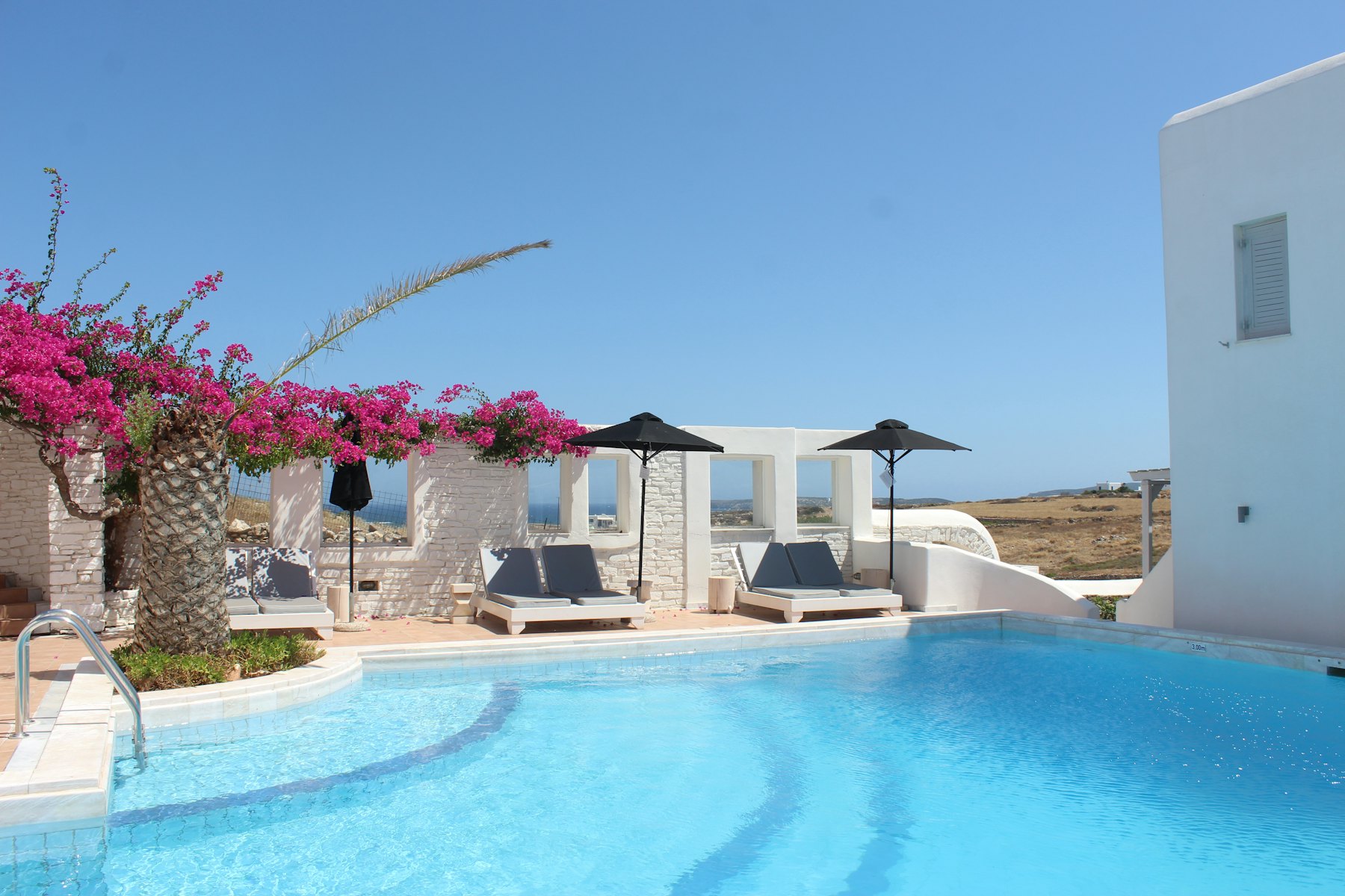 Piscine de l'hôtel bordée de bougainvilliers, en plein soleil