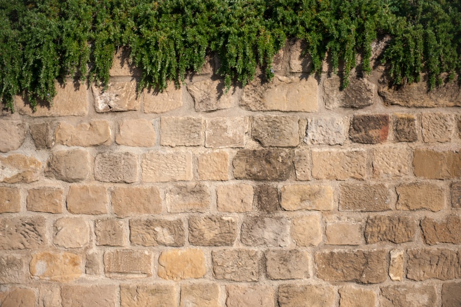 Mur de pierre planté de végétaux retombants
